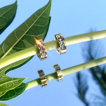 Load image into Gallery viewer, Unisex Gold Opulence Earrings
